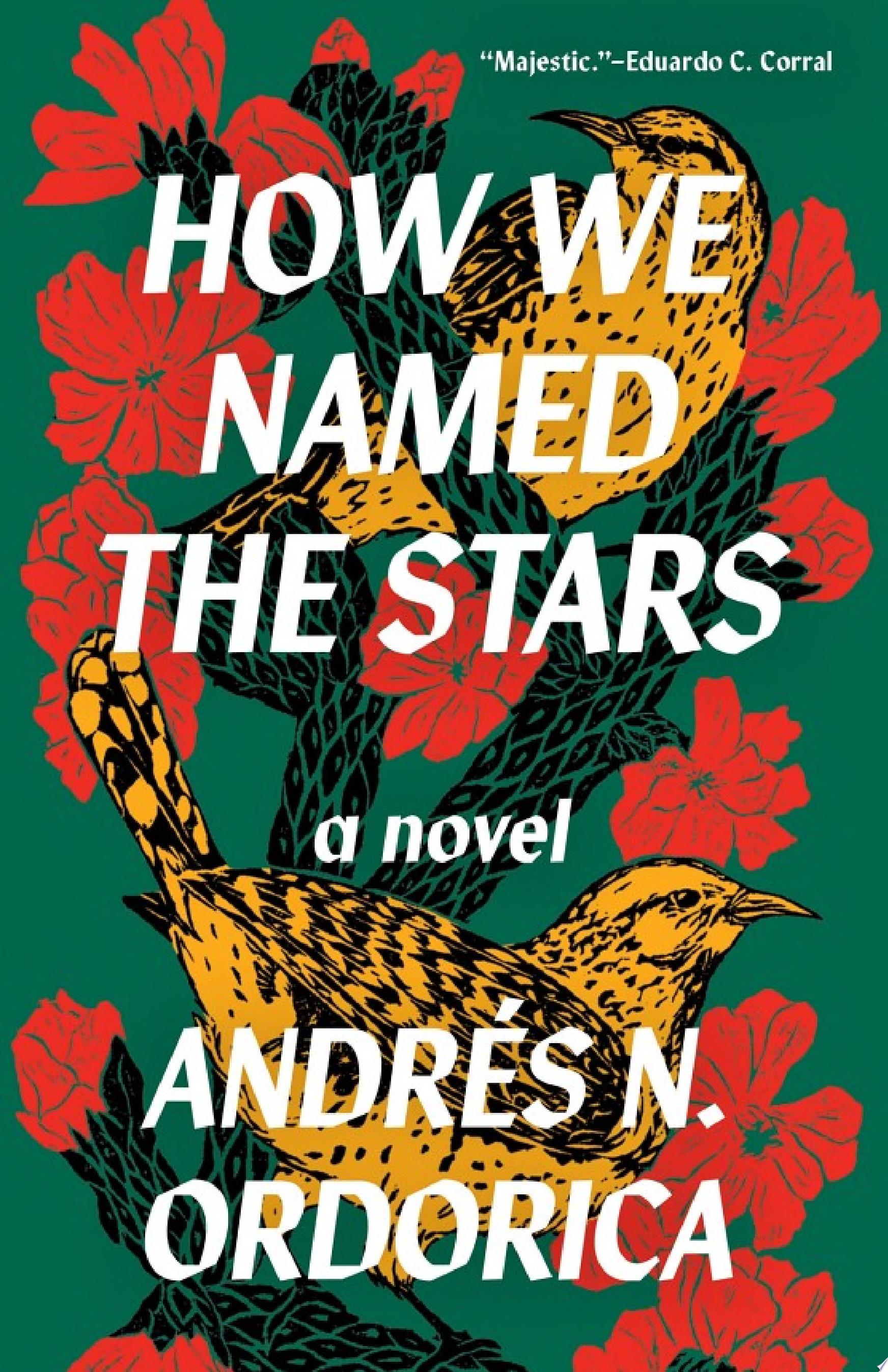 Image for "How We Named the Stars"