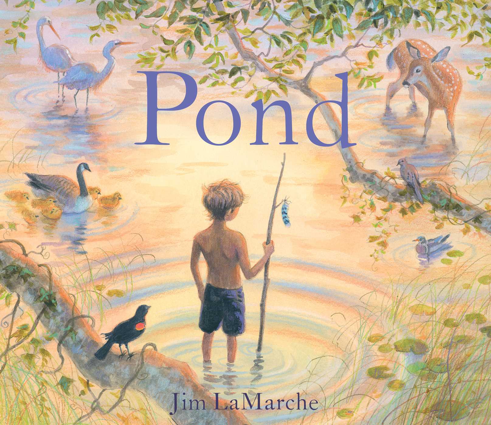 Image for "Pond"