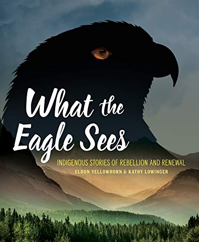 Image for "What the Eagle Sees"